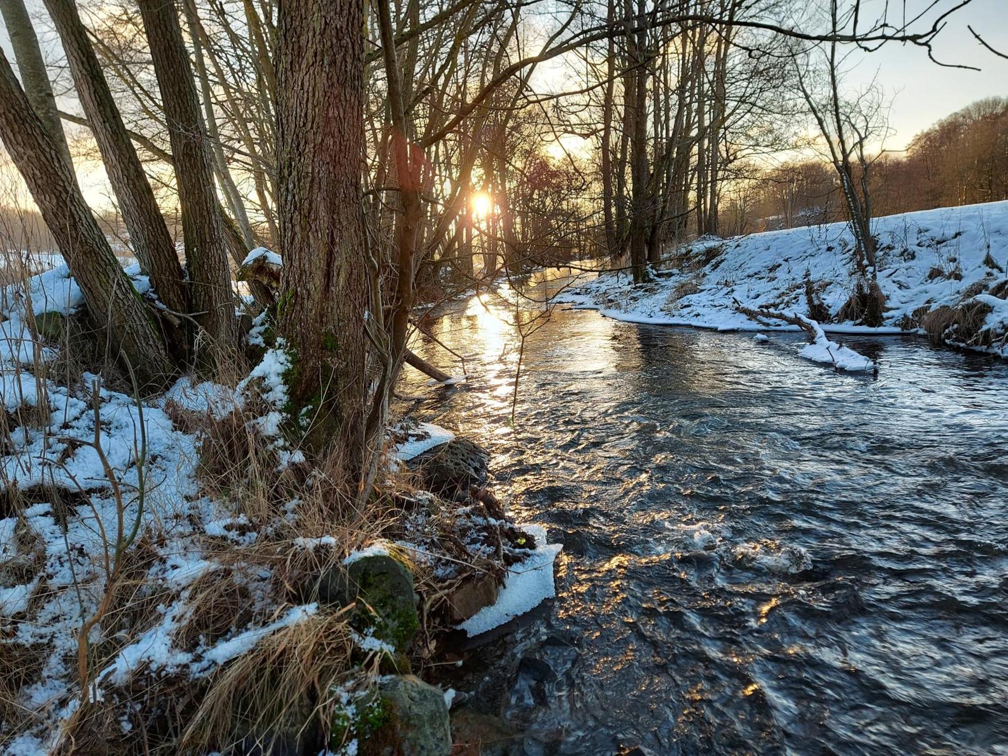 Gaestehaus Hochrhoenblick Schönau an der Brend المظهر الخارجي الصورة