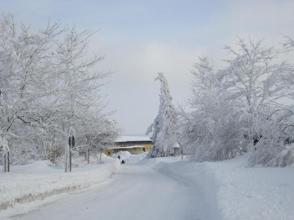 Gaestehaus Hochrhoenblick Schönau an der Brend المظهر الخارجي الصورة